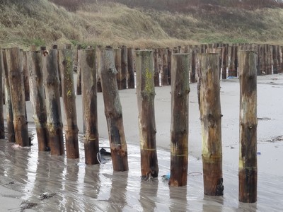Kastanien Holz aus Frankreich fr Einrichtungen am Meer