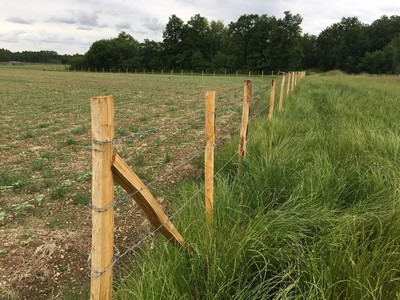 Gespaltene Entridete KastanienHolz Pfosten aus Frankreich
